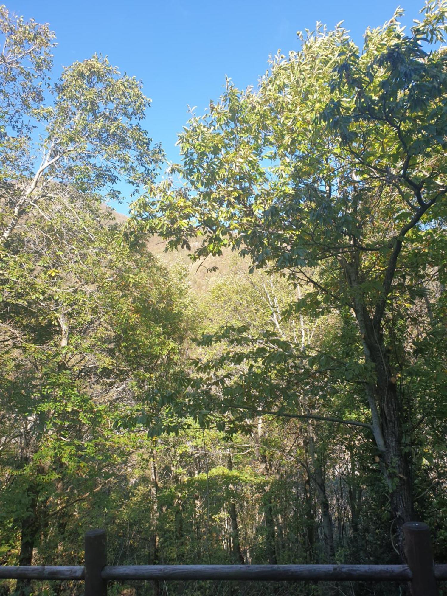 Locanda In Montagna Da Emili&Gabriel Lizzano In Belvedere Εξωτερικό φωτογραφία